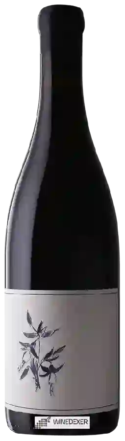 Weingut Arnot-Roberts - Watson Ranch Cabernet Franc Weingut Arnot-Roberts - Watson Ranch Cabernet Franc