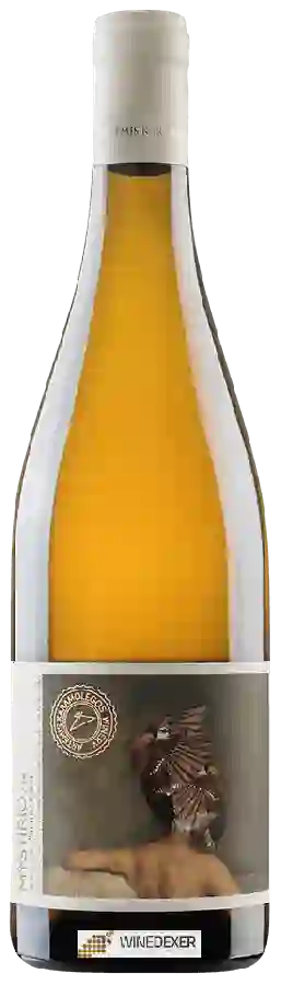 Weingut Artemis Karamolegos - Mystirio