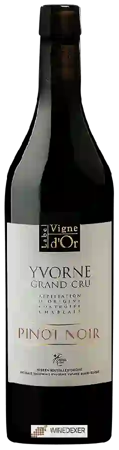 Weingut Artisans Vignerons d'Yvorne - Label Vigne d'Or Grand Cru Pinot Noir