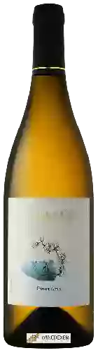 Weingut Assaf - Pinot Gris