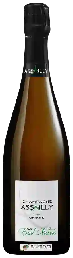 Weingut Assailly-Leclaire & Fils - Cuvée Brut Nature Champagne Grand Cru 'Avize'
