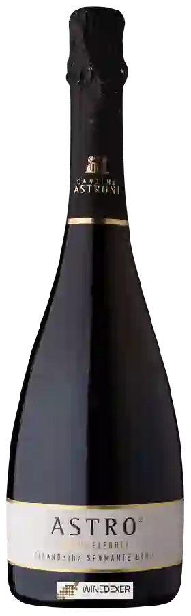 Weingut Cantine Astroni - Astro Campi Flegrei Falanghina Brut Weingut Cantine Astroni - Astro Campi Flegrei Falanghina Brut