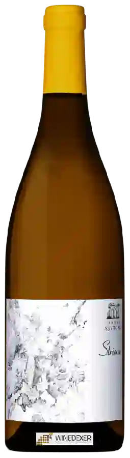 Weingut Cantine Astroni - Strione Weingut Cantine Astroni - Strione