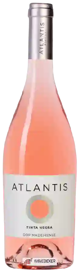Weingut Atlantis - Tinta Negra Weingut Atlantis - Tinta Negra
