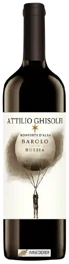 Weingut Attilio Ghisolfi - Barolo Bussia Weingut Attilio Ghisolfi - Barolo Bussia