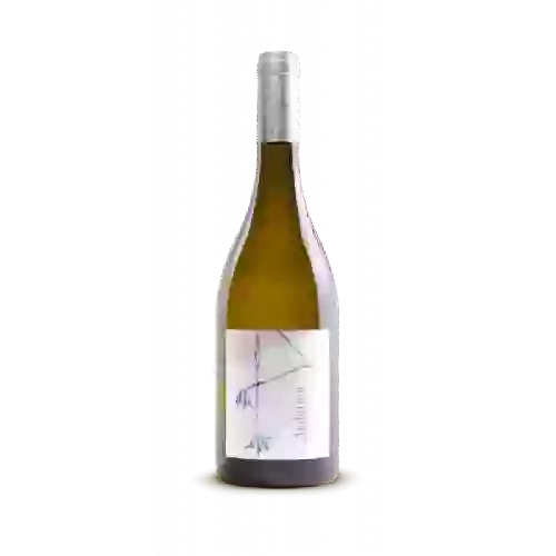 Weingut Attilon - Ambition Blanc