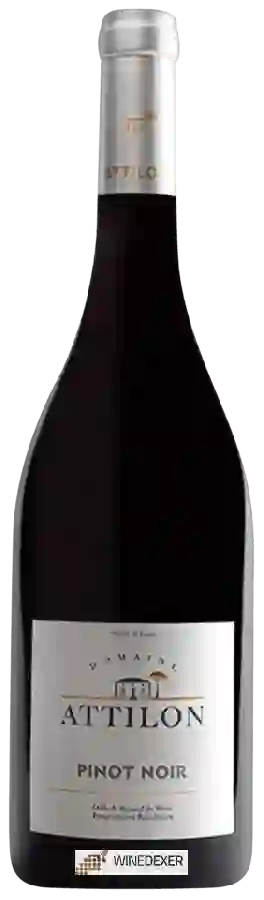 Weingut Attilon - Pinot Noir
