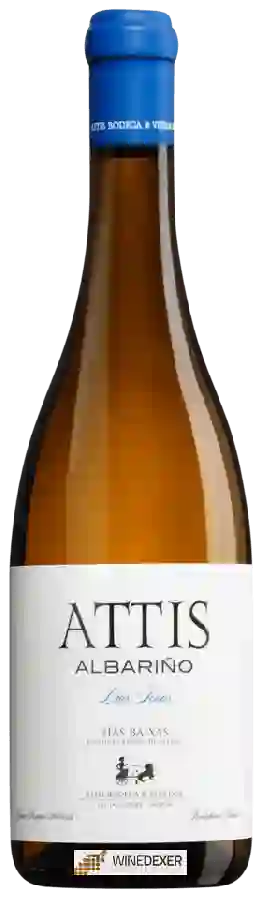 Weingut Attis - Attis Albariño Weingut Attis - Attis Albariño