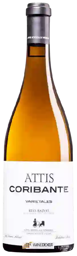 Weingut Attis - Attis Coribante Weingut Attis - Attis Coribante