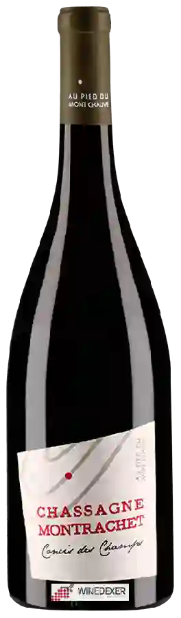 Weingut Au Pied du Mont Chauve - Concis du Champs Chassagne Montrachet