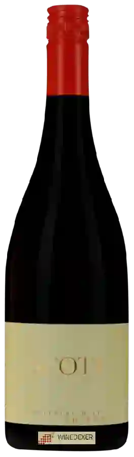 Weingut Scott - Shiraz