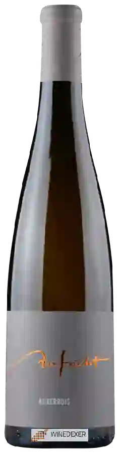 Weingut Aufricht - Auxerrois Weingut Aufricht - Auxerrois