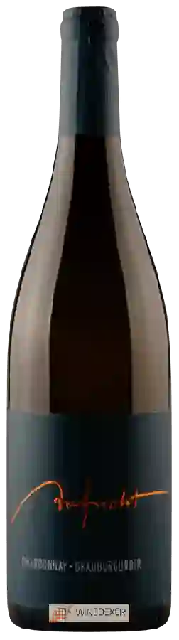 Weingut Aufricht - Grauburgunder - Chardonnay