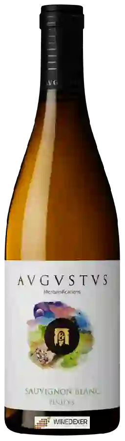 Weingut Avgvstvs - Sauvignon Blanc