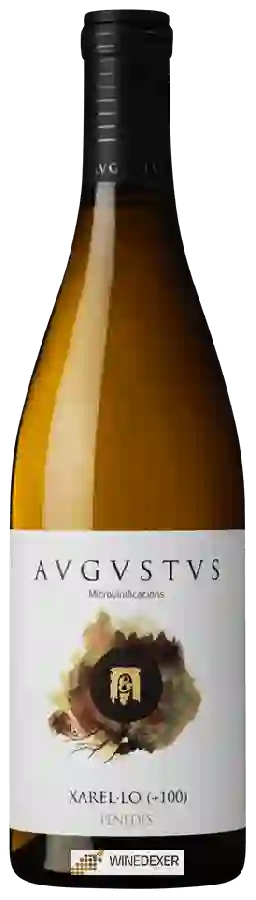 Weingut Avgvstvs - Xarel-lo (+100) Weingut Avgvstvs - Xarel-lo (+100)
