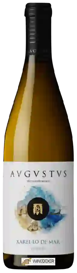 Weingut Avgvstvs - Xarel-lo de Mar