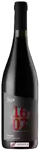 Weingut Avide - 1607 Frappato