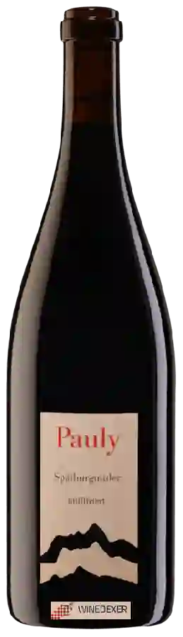 Weingut Axel Pauly - Spätburgunder Unfiltriert Weingut Axel Pauly - Spätburgunder Unfiltriert