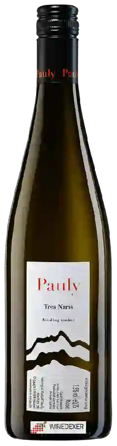Weingut Axel Pauly - Tres Naris Riesling Trocken