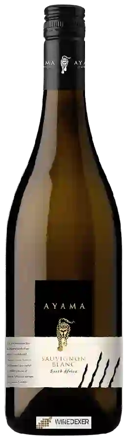 Weingut Ayama - Sauvignon Blanc Weingut Ayama - Sauvignon Blanc