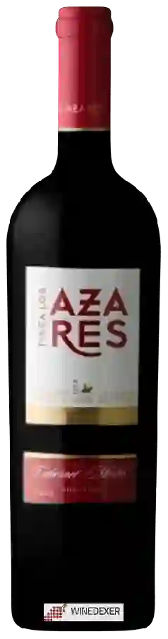 Weingut Ayuso - Finca Los Azares Cabernet - Merlot