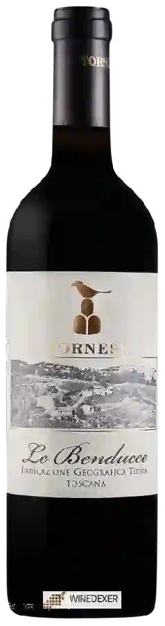 Weingut Tornesi - Le Benducce Weingut Tornesi - Le Benducce