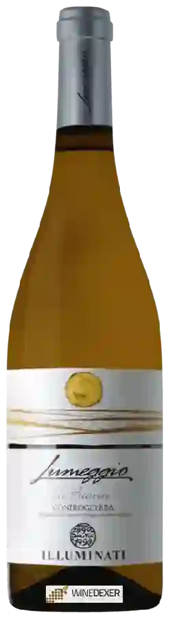 Weingut Illuminati - Lumeggio di Bianco