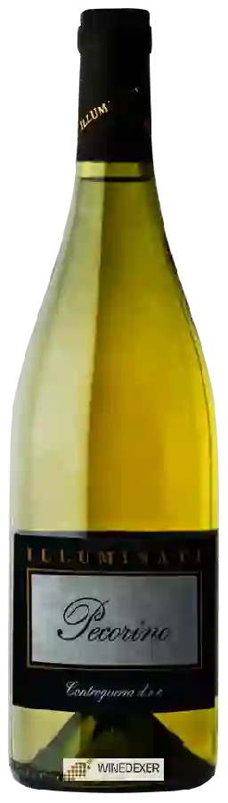 Weingut Illuminati - Pecorino Controguerra Weingut Illuminati - Pecorino Controguerra