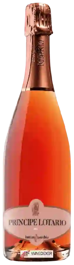 Weingut Fontanavecchia - Principe Lotario