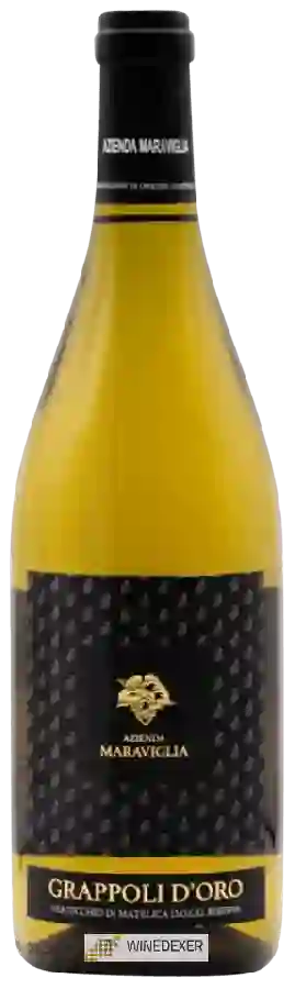 Weingut Azienda Agricola Maraviglia - Grappoli d'Oro Verdicchio di Matelica Riserva Weingut Azienda Agricola Maraviglia - Grappoli d'Oro Verdicchio di Matelica Riserva
