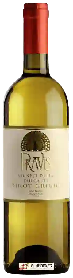 Weingut Pravis - Pinot Grigio Vigneti delle Dolomiti