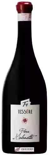 Weingut Azienda Agricola Tessère - Piave Malanotte