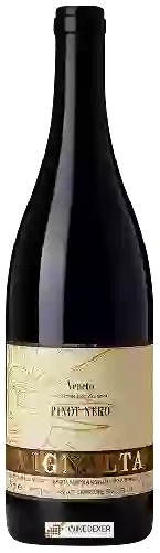 Weingut Vignalta - Pinot Nero