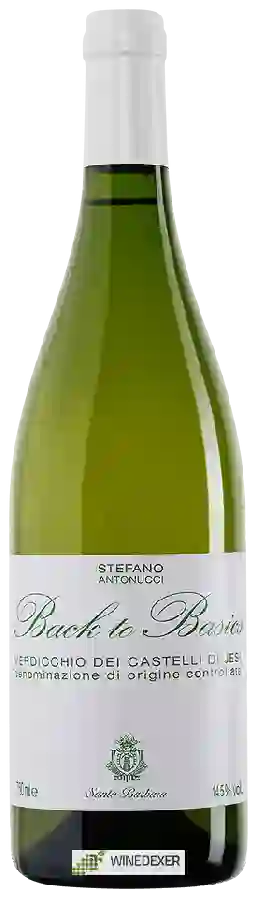 Weingut Azienda Santa Barbara - Stefano Antonucci - Back to Basics Verdicchio dei Castelli di Jesi