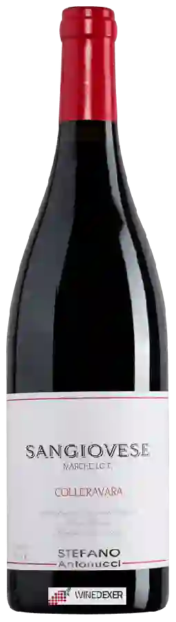 Weingut Azienda Santa Barbara - Stefano Antonucci - Colleravara Sangiovese Weingut Azienda Santa Barbara - Stefano Antonucci - Colleravara Sangiovese