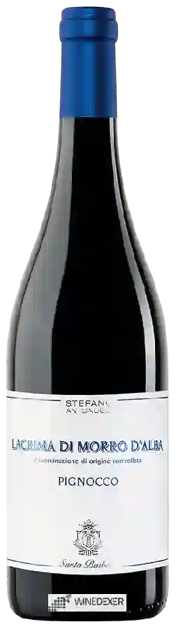 Weingut Azienda Santa Barbara - Stefano Antonucci - Lacrima di Morro d'Alba Pignocco