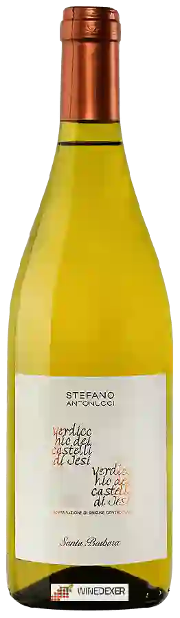 Weingut Azienda Santa Barbara - Stefano Antonucci - Verdicchio dei Castelli di Jesi