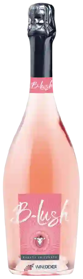 Weingut B-lush Wine - B-lush Rosado Frizzante Weingut B-lush Wine - B-lush Rosado Frizzante