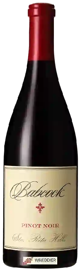 Weingut Babcock - Pinot Noir Weingut Babcock - Pinot Noir