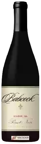Weingut Babcock - Radical Pinot Noir