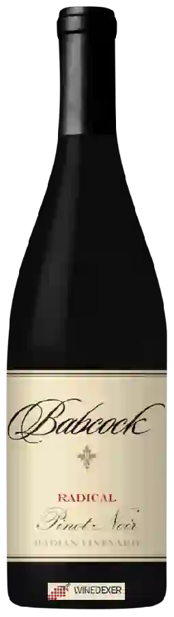 Weingut Babcock - Radical Pinot Noir