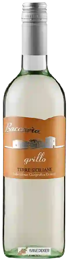 Weingut Baccaria - Grillo Weingut Baccaria - Grillo
