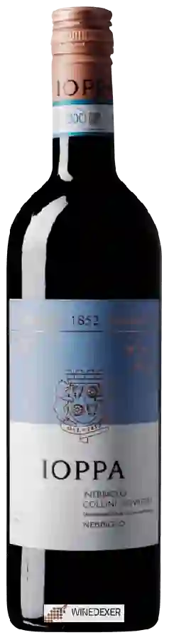 Weingut Ioppa - Nebbiolo Weingut Ioppa - Nebbiolo