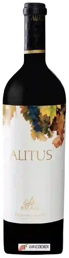 Weingut Balbas - Alitus Ribera del Duero Weingut Balbas - Alitus Ribera del Duero