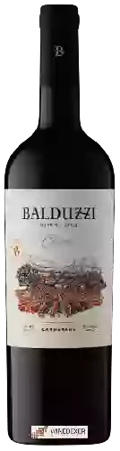 Weingut Balduzzi - Classic Carmenère