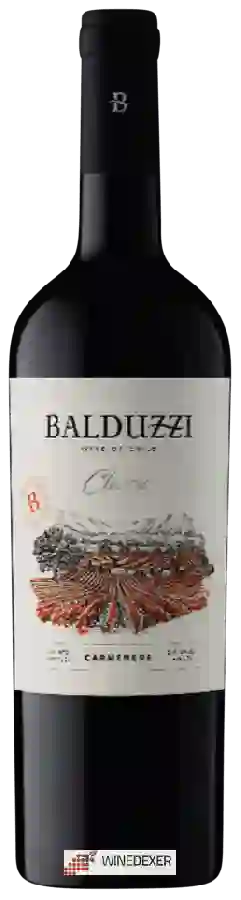 Weingut Balduzzi - Classic Carmenère Weingut Balduzzi - Classic Carmenère