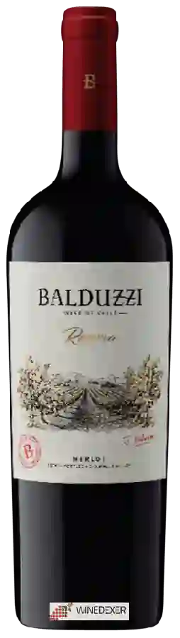 Weingut Balduzzi - Reserva Merlot