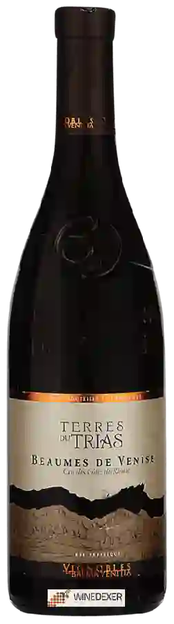 Weingut Balma Vénitia - Terres du Trias Beaumes-de-Venise