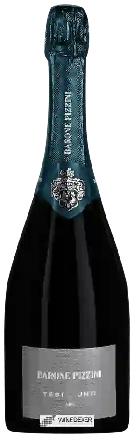 Weingut Barone Pizzini - Tesi Uno Weingut Barone Pizzini - Tesi Uno