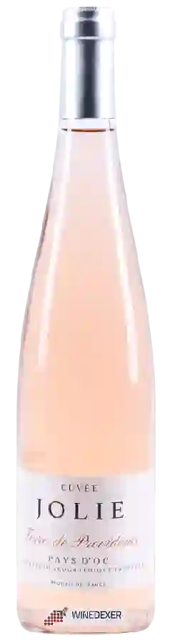 Weingut Le Bijou de Sophie Valrose (Bijou Wine) - Cuvée Jolie Terre de Providence